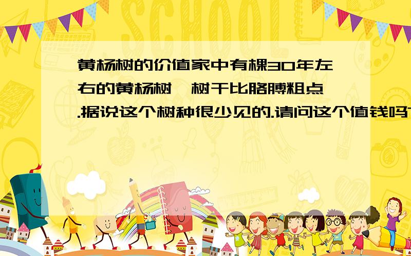 黄杨树的价值家中有棵30年左右的黄杨树,树干比胳膊粗点,.据说这个树种很少见的.请问这个值钱吗?