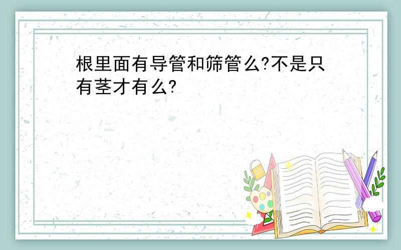 根里面有导管和筛管么?不是只有茎才有么?