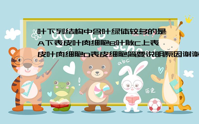 叶下列结构中含叶绿体较多的是A下表皮叶肉细胞B叶脉C上表皮叶肉细胞D表皮细胞简要说明原因谢谢我选A是错误的.