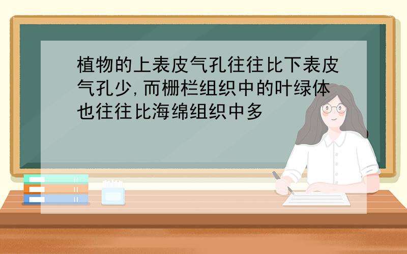 植物的上表皮气孔往往比下表皮气孔少,而栅栏组织中的叶绿体也往往比海绵组织中多