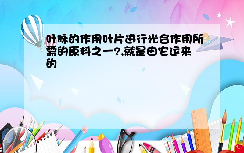 叶脉的作用叶片进行光合作用所需的原料之一?,就是由它运来的