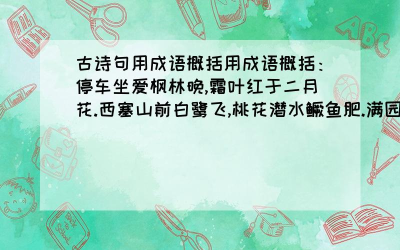 古诗句用成语概括用成语概括：停车坐爱枫林晚,霜叶红于二月花.西塞山前白鹭飞,桃花潜水鳜鱼肥.满园春色关不住,一枝红杏出墙来.再+个：（ ) 应（ ）心