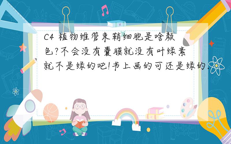 C4 植物维管束鞘细胞是啥颜色?不会没有囊膜就没有叶绿素就不是绿的吧!书上画的可还是绿的.