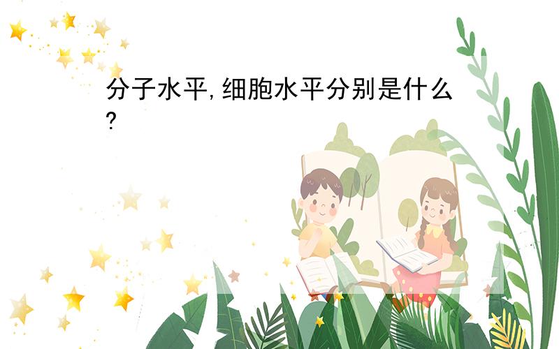 分子水平,细胞水平分别是什么?