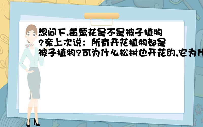 想问下,黄莺花是不是被子植物?亲上次说：所有开花植物都是被子植物?可为什么松树也开花的,它为什么又是裸子植物呢?（质疑）
