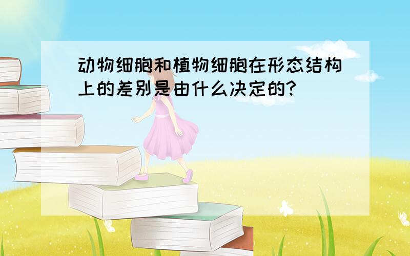 动物细胞和植物细胞在形态结构上的差别是由什么决定的?