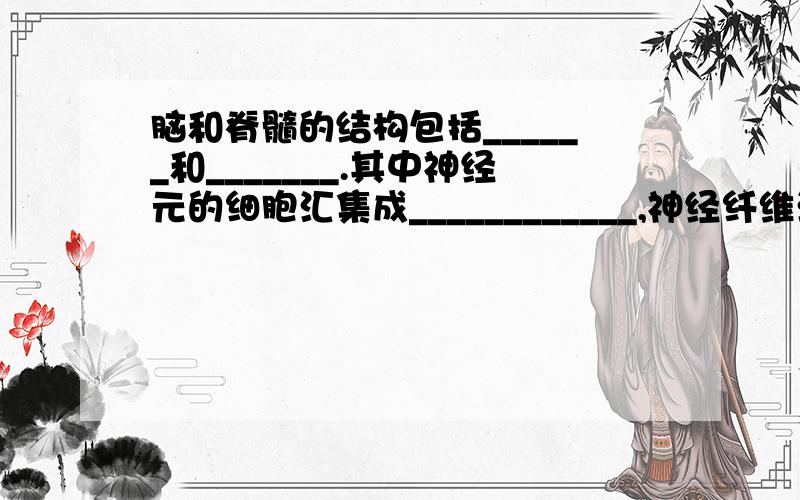 脑和脊髓的结构包括______和_______.其中神经元的细胞汇集成____________,神经纤维汇集成______.