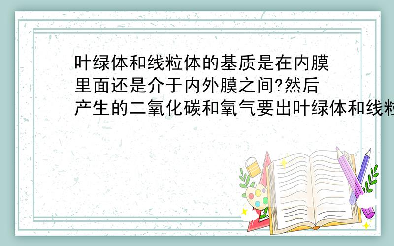 叶绿体和线粒体的基质是在内膜里面还是介于内外膜之间?然后产生的二氧化碳和氧气要出叶绿体和线粒体要不要穿过内膜?