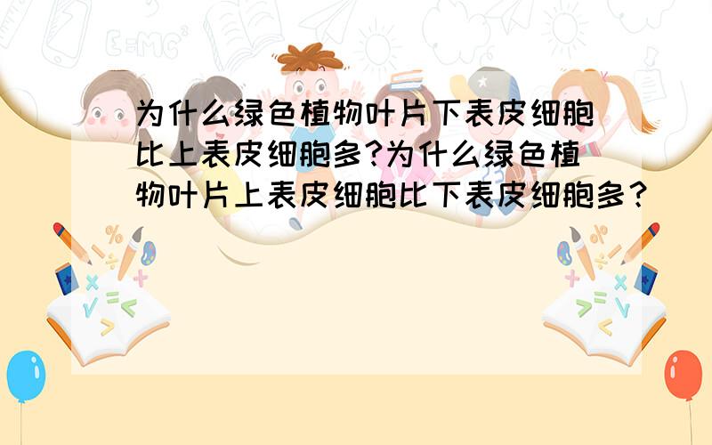 为什么绿色植物叶片下表皮细胞比上表皮细胞多?为什么绿色植物叶片上表皮细胞比下表皮细胞多？