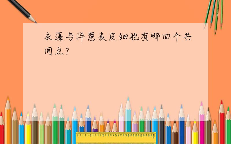 衣藻与洋葱表皮细胞有哪四个共同点?