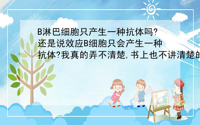 B淋巴细胞只产生一种抗体吗?还是说效应B细胞只会产生一种抗体?我真的弄不清楚,书上也不讲清楚的