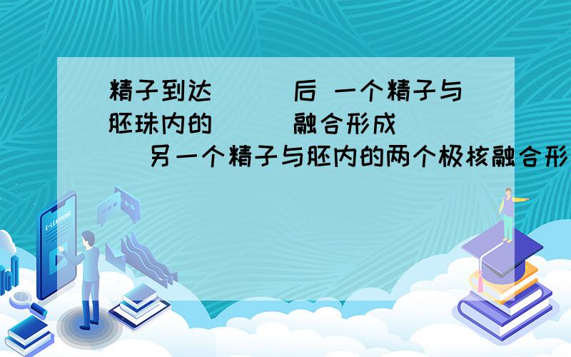 精子到达___后 一个精子与胚珠内的___融合形成____ 另一个精子与胚内的两个极核融合形成受精极核 这是被子植物的双受精