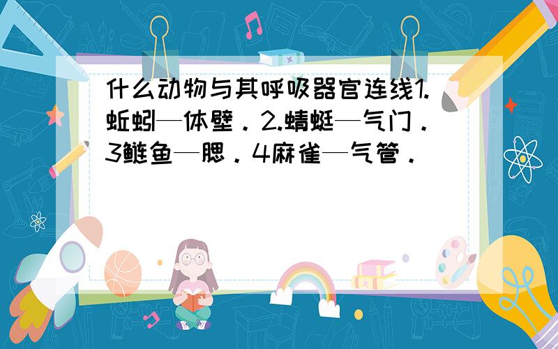 什么动物与其呼吸器官连线1.蚯蚓—体壁。2.蜻蜓—气门。3鲢鱼—腮。4麻雀—气管。