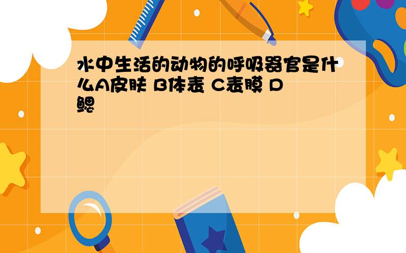 水中生活的动物的呼吸器官是什么A皮肤 B体表 C表膜 D鳃