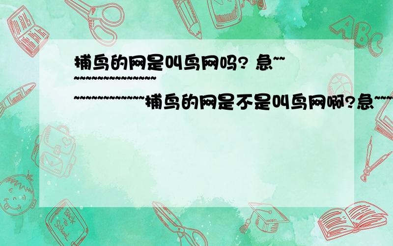 捕鸟的网是叫鸟网吗? 急~~~~~~~~~~~~~~~~~~~~~~~~~~~~捕鸟的网是不是叫鸟网啊?急~~~~~~~~~~