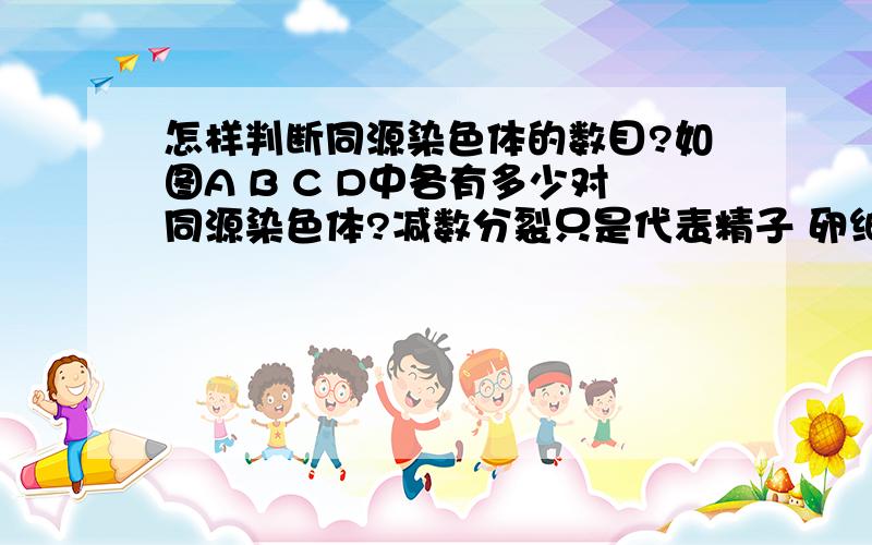 怎样判断同源染色体的数目?如图A B C D中各有多少对同源染色体?减数分裂只是代表精子 卵细胞的形成?我传照片怎么穿不上啊