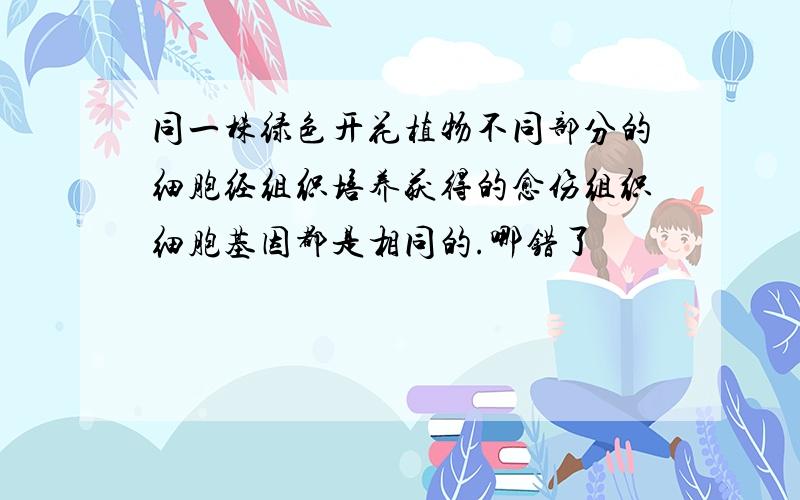 同一株绿色开花植物不同部分的细胞经组织培养获得的愈伤组织细胞基因都是相同的.哪错了