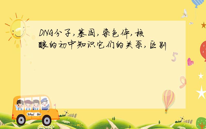 DNA分子,基因,染色体,核酸的初中知识它们的关系,区别