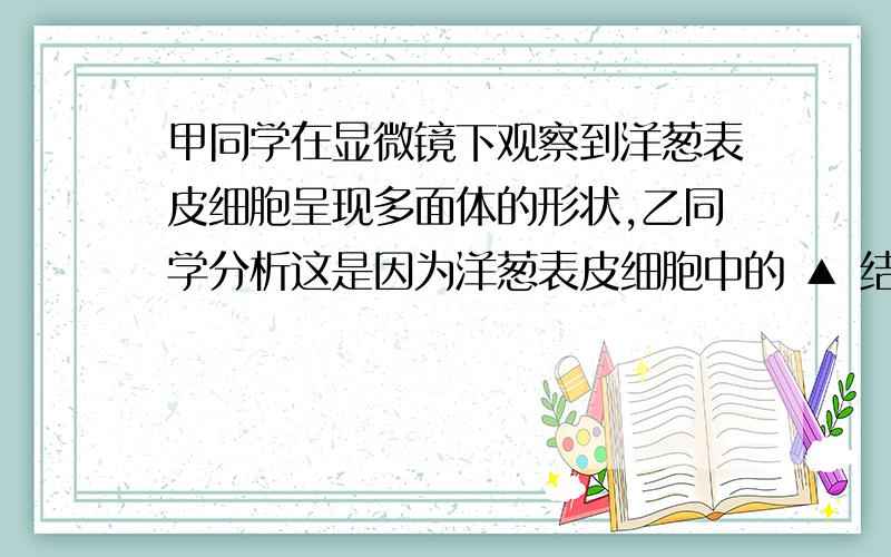 甲同学在显微镜下观察到洋葱表皮细胞呈现多面体的形状,乙同学分析这是因为洋葱表皮细胞中的 ▲ 结构,乙同学观察到洋葱表皮细胞中还有 ▲ 结构是口腔上皮细胞所没有的一种结构.