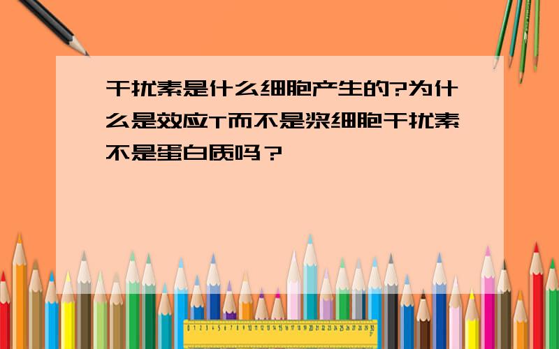 干扰素是什么细胞产生的?为什么是效应T而不是浆细胞干扰素不是蛋白质吗？