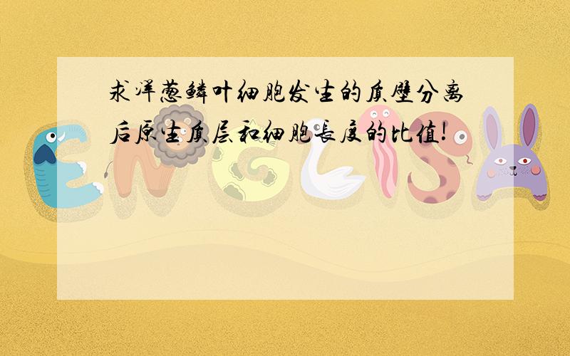 求洋葱鳞叶细胞发生的质壁分离后原生质层和细胞长度的比值!