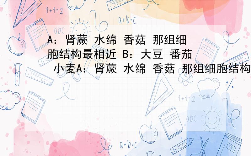 A：肾蕨 水绵 香菇 那组细胞结构最相近 B：大豆 番茄 小麦A：肾蕨 水绵 香菇 那组细胞结构最相近B：大豆 番茄 小麦