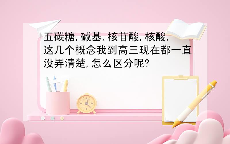 五碳糖,碱基,核苷酸,核酸,这几个概念我到高三现在都一直没弄清楚,怎么区分呢?