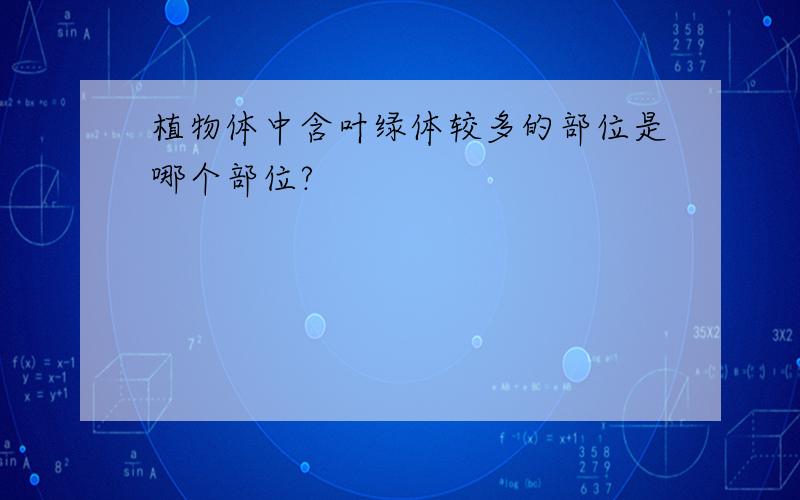 植物体中含叶绿体较多的部位是哪个部位?