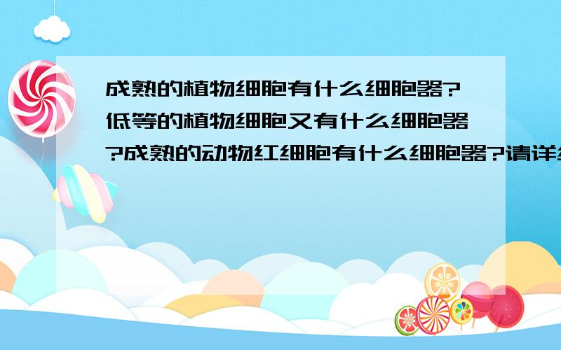 成熟的植物细胞有什么细胞器?低等的植物细胞又有什么细胞器?成熟的动物红细胞有什么细胞器?请详细回答,感激不尽