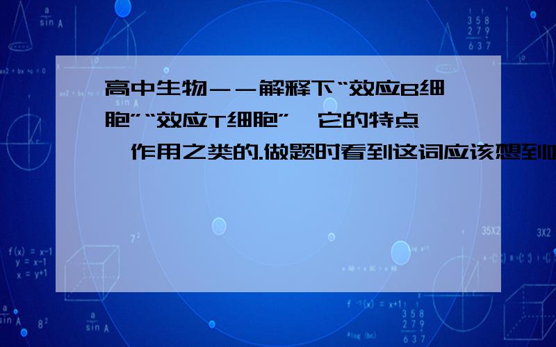 高中生物－－解释下“效应B细胞”“效应T细胞”…它的特点,作用之类的.做题时看到这词应该想到哪…