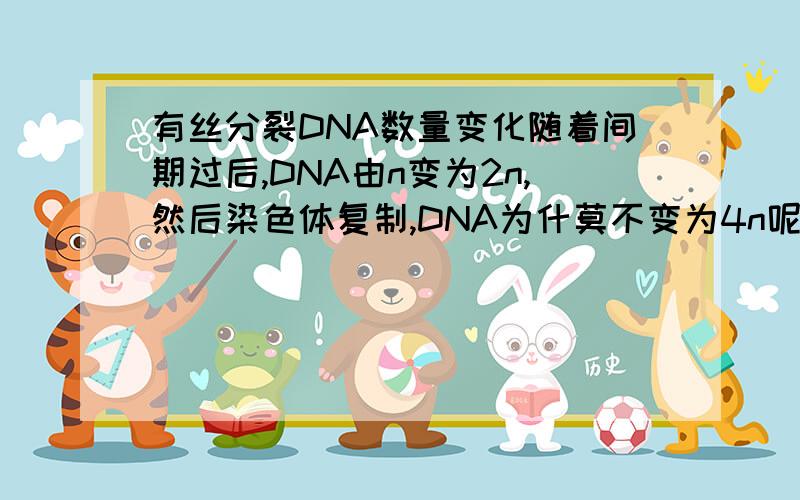 有丝分裂DNA数量变化随着间期过后,DNA由n变为2n,然后染色体复制,DNA为什莫不变为4n呢染色体怎么复制了？他只是着丝点分裂而已~并没有复制~所以DNA不再变化~是不是成为姐妹染色单体时DNA就