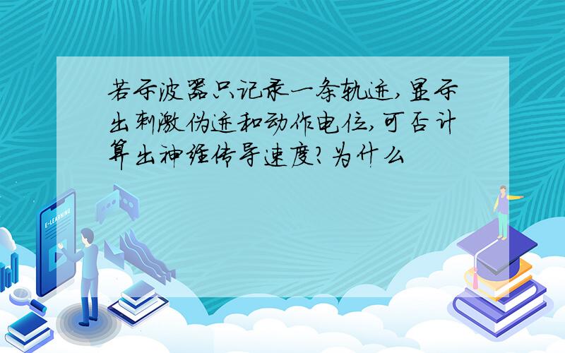 若示波器只记录一条轨迹,显示出刺激伪迹和动作电位,可否计算出神经传导速度?为什么