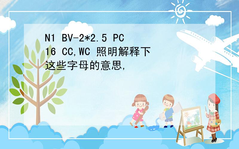 N1 BV-2*2.5 PC16 CC,WC 照明解释下这些字母的意思,