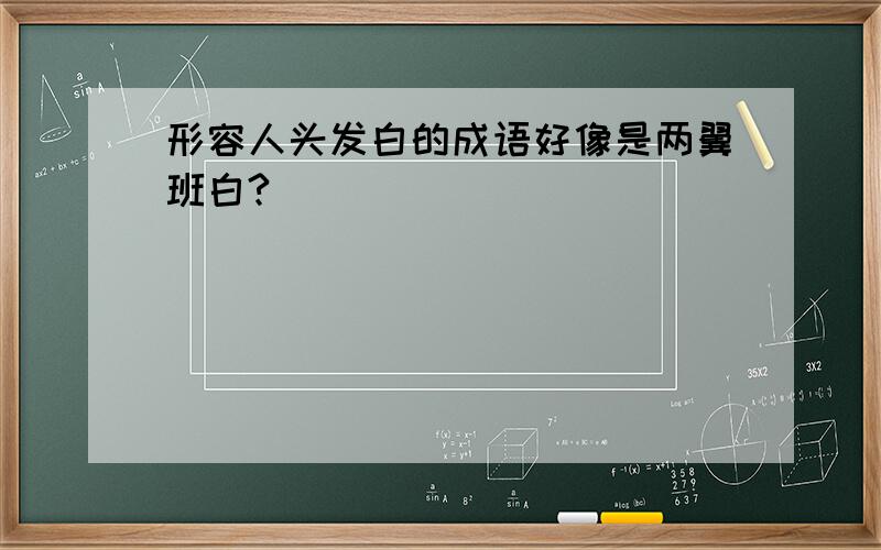 形容人头发白的成语好像是两翼班白?