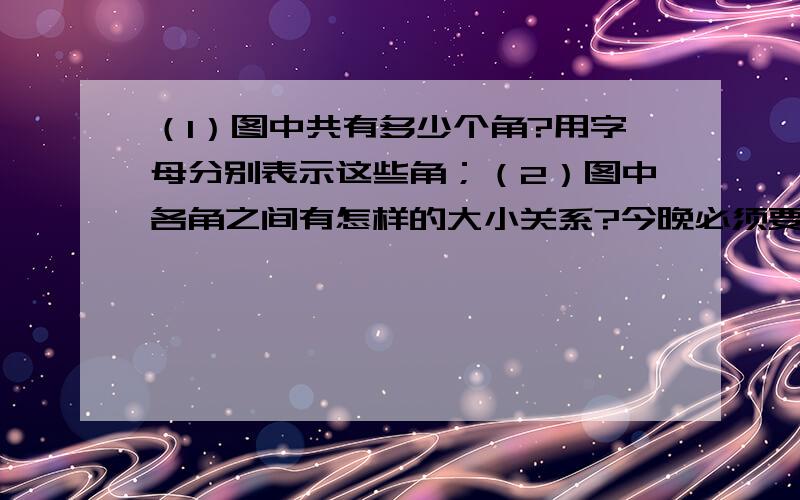 （1）图中共有多少个角?用字母分别表示这些角；（2）图中各角之间有怎样的大小关系?今晚必须要!