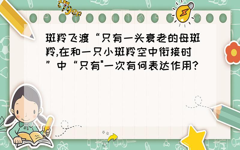 斑羚飞渡“只有一头衰老的母斑羚,在和一只小斑羚空中衔接时”中“只有