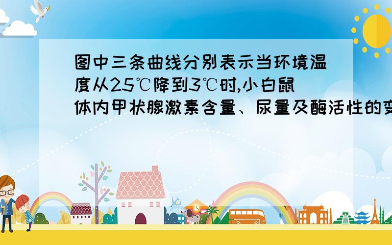 图中三条曲线分别表示当环境温度从25℃降到3℃时,小白鼠体内甲状腺激素含量、尿量及酶活性的变化情况,正确的是 A、①②③ B、①③③C 、③①② D、 ①①②