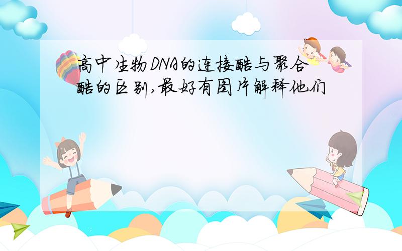 高中生物DNA的连接酶与聚合酶的区别,最好有图片解释他们