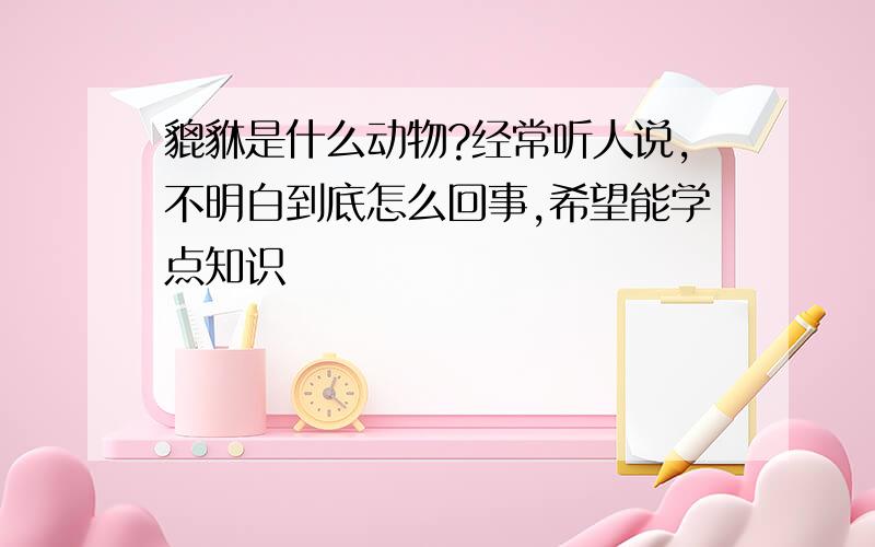 貔貅是什么动物?经常听人说,不明白到底怎么回事,希望能学点知识