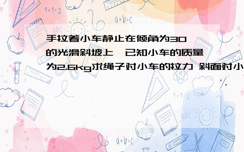 手拉着小车静止在倾角为30°的光滑斜坡上,已知小车的质量为2.6kg求绳子对小车的拉力 斜面对小车的支持力 如果绳子突然断开 求车的加速度