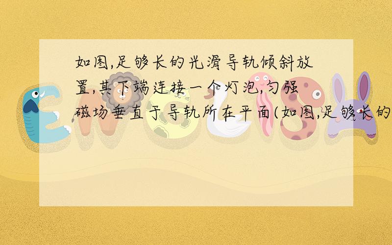 如图,足够长的光滑导轨倾斜放置,其下端连接一个灯泡,匀强磁场垂直于导轨所在平面(如图,足够长的光滑导轨倾斜放置,其下端连接一个灯泡,匀强磁场垂直于导轨所在平面（导轨和导线电阻不