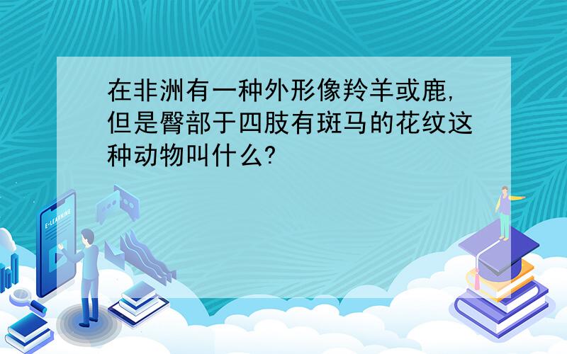 在非洲有一种外形像羚羊或鹿,但是臀部于四肢有斑马的花纹这种动物叫什么?