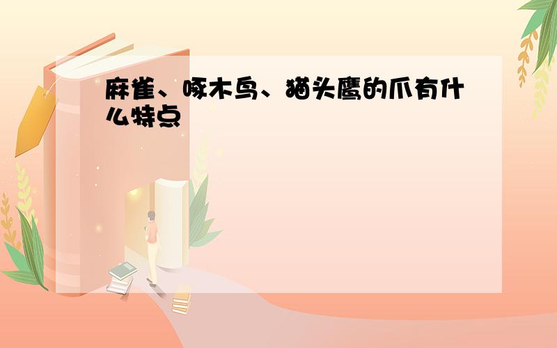 麻雀、啄木鸟、猫头鹰的爪有什么特点