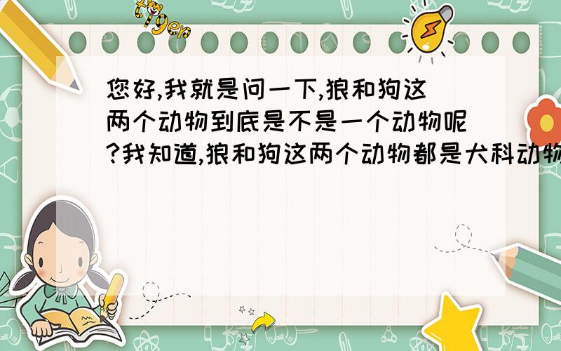 您好,我就是问一下,狼和狗这两个动物到底是不是一个动物呢?我知道,狼和狗这两个动物都是犬科动物,狼和狗这两个动物同样都是犬科动物,我主要想知道,狼和狗这两个动物到底是不是一种动