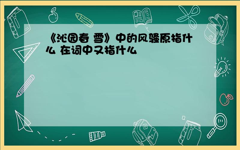 《沁园春 雪》中的风骚原指什么 在词中又指什么