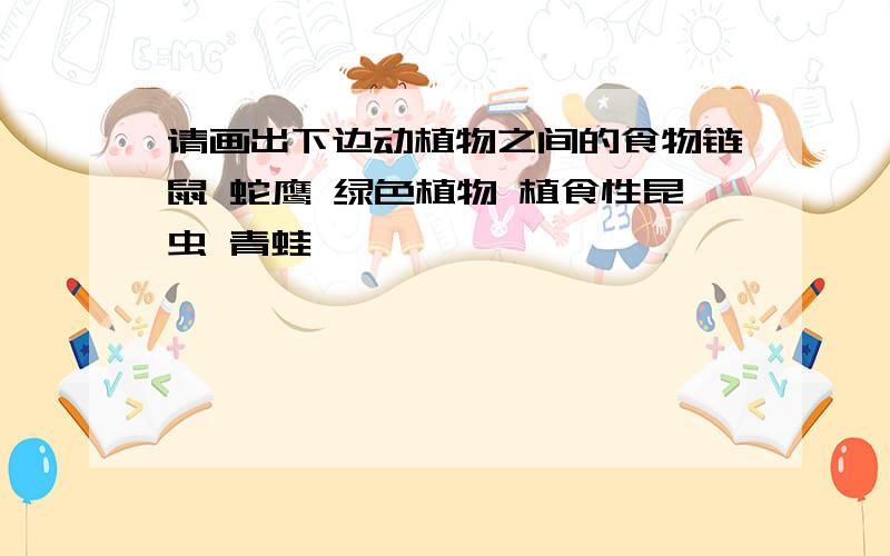 请画出下边动植物之间的食物链鼠 蛇鹰 绿色植物 植食性昆虫 青蛙