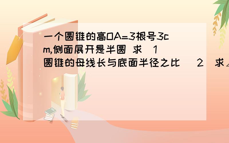 一个圆锥的高OA=3根号3cm,侧面展开是半圆 求（1）圆锥的母线长与底面半径之比 （2）求∠BAC的度数（3）圆锥的侧面积（结果保留π）