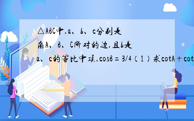 △ABC中,a、b、c分别是角A、B、C所对的边,且b是a、c的等比中项,cosB=3/4（1）求cotA+cotC的值（2）设△ABC的面积的值等于sinB,求a+c的值