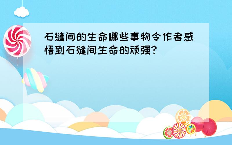 石缝间的生命哪些事物令作者感悟到石缝间生命的顽强?