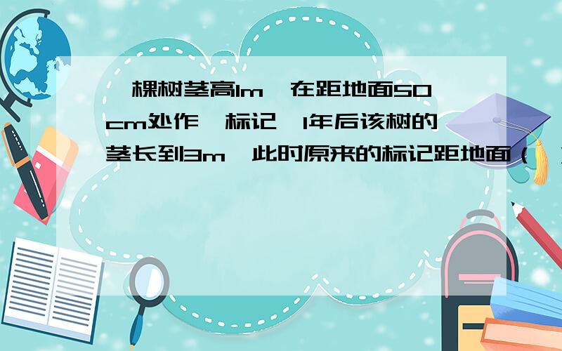 一棵树茎高1m,在距地面50cm处作一标记,1年后该树的茎长到3m,此时原来的标记距地面（ ）.